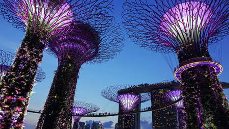 assicurazione viaggi-business-singapore