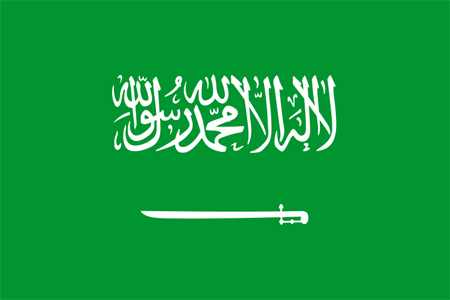 assicurazione arabia-saudita