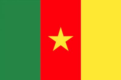 Assicurazione Camerun
