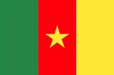 insurance-cameroon