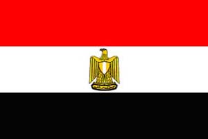 egypt insurance