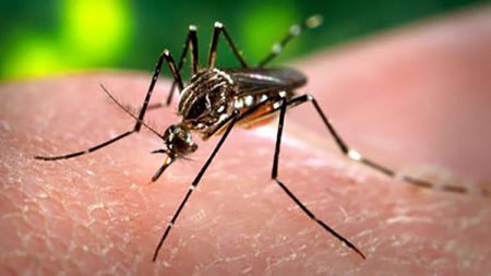 virus-zika-mondassur