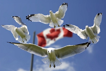 Vivre au Canada et Assurance expatrié live-canada
