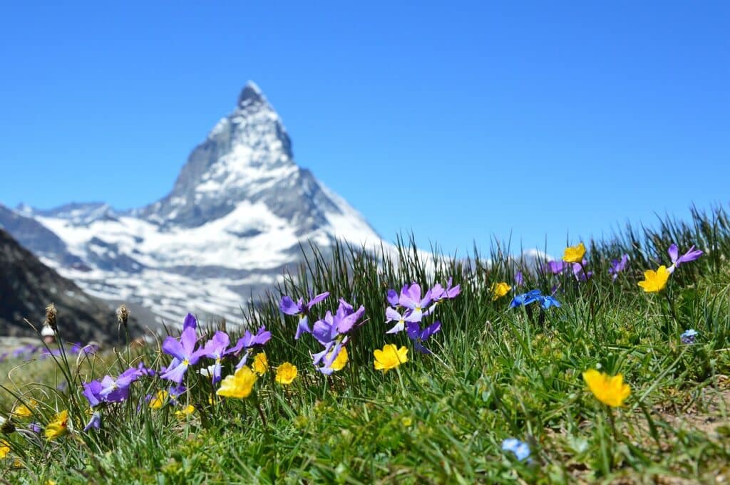 Assurance sante Suisse